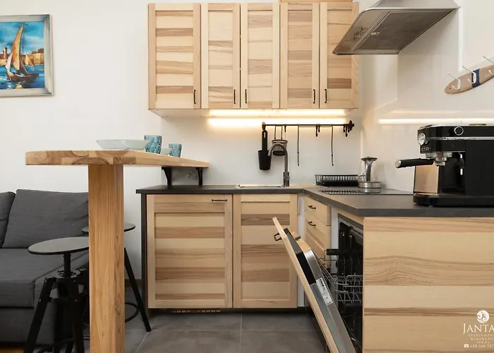 Shellter - By Jantar * Rogowo (Gryfice)